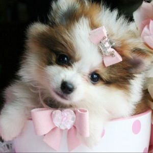 Meet your Posher, Keleigh